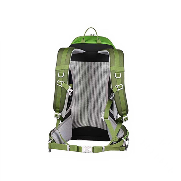 کوله پشتی کوهنوردی 30 لیتری کاراکال FLORA مدل CA-B4002